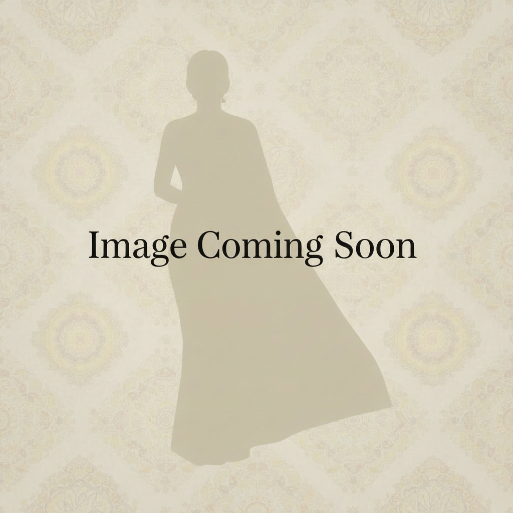 Saree placeholder - Image Coming Soon only
